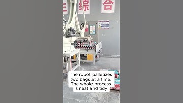 The robot palletizes two bags at a time. The whole process is neat and tidy.#automation #robot