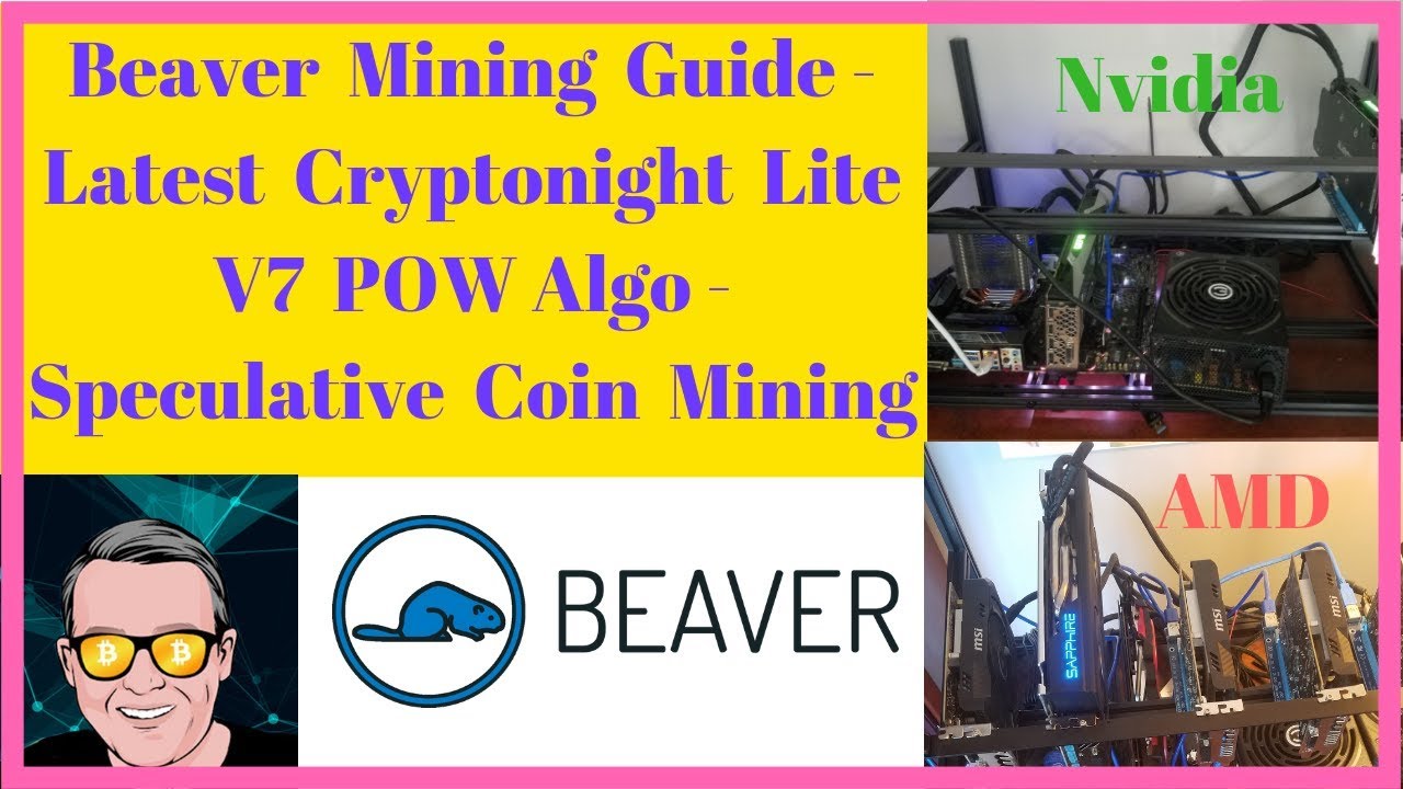 Beaver Mining Guide - Latest Cryptonight Lite V7 POW Algo - Speculative  Coin Mining