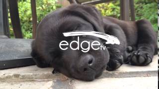 Edge TV - Ident Test