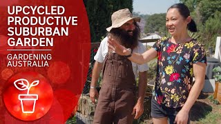 Productive up-cycled food forest in suburban Sydney garden