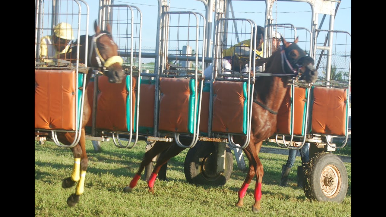 Horse Race Peoples Stadium August 28, 2022 A Class TBS 6 Furlongs YouTube