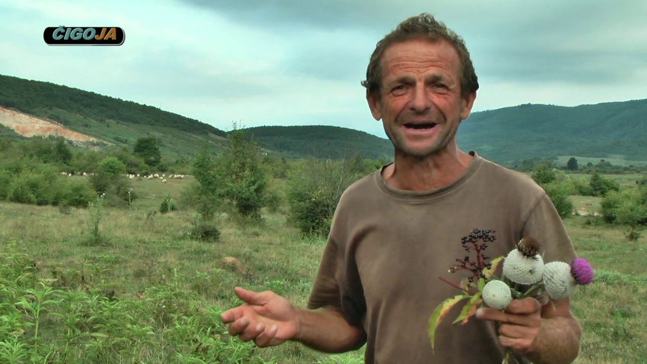 ŽIVOT PASTIRA U SRCU MANJAČE VUJICA I NJEGOVE OVCE 2019