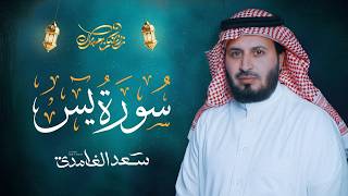 سورة يس بصوت القارئ الشيخ سعد الغامدي Surah Yasin