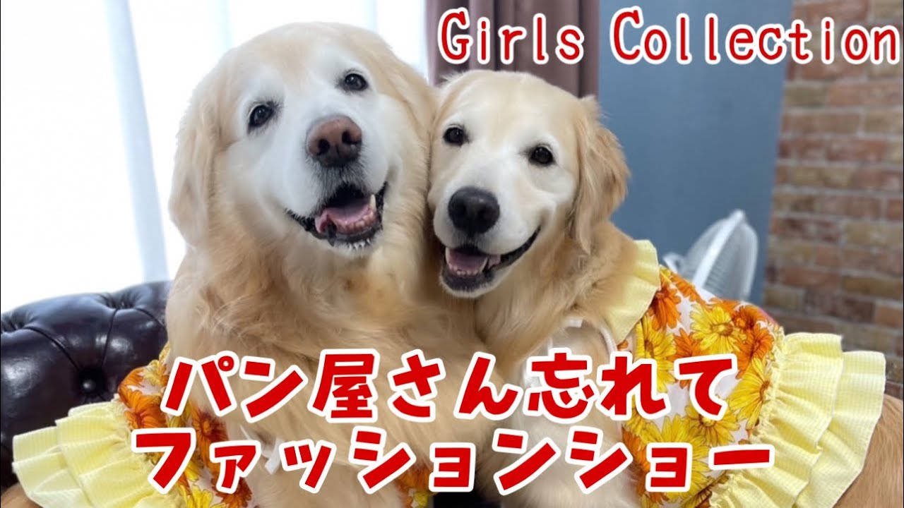 お買い物あーちゃん】パン屋さんのことを忘れてファッションショー