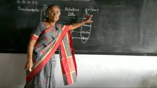 Types of Functions  Activity based (Part 1)