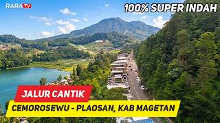 SO BEAUTIFUL‼️The Journey from 'CEMORO SEWU' Route towards Plaosan