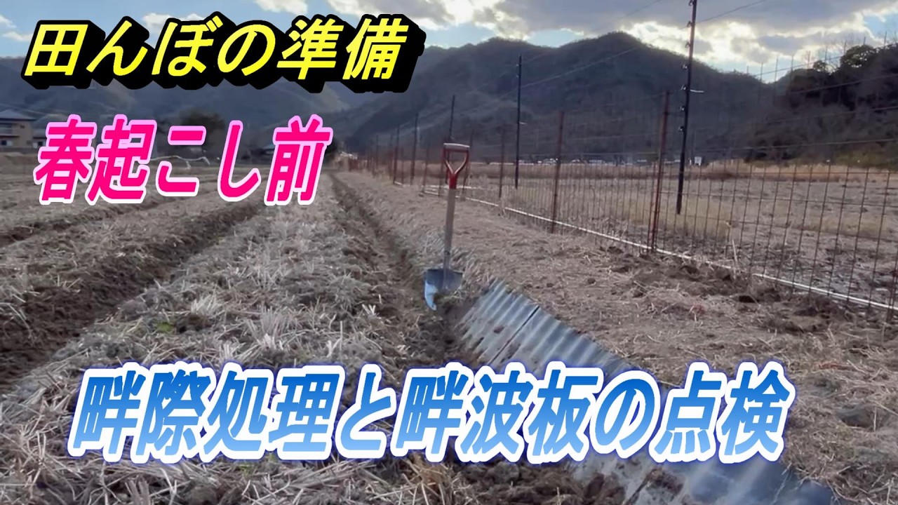 【田んぼの準備】春起こし前、畔際処理と畔波板の点検、痩せた畔の補修もします。