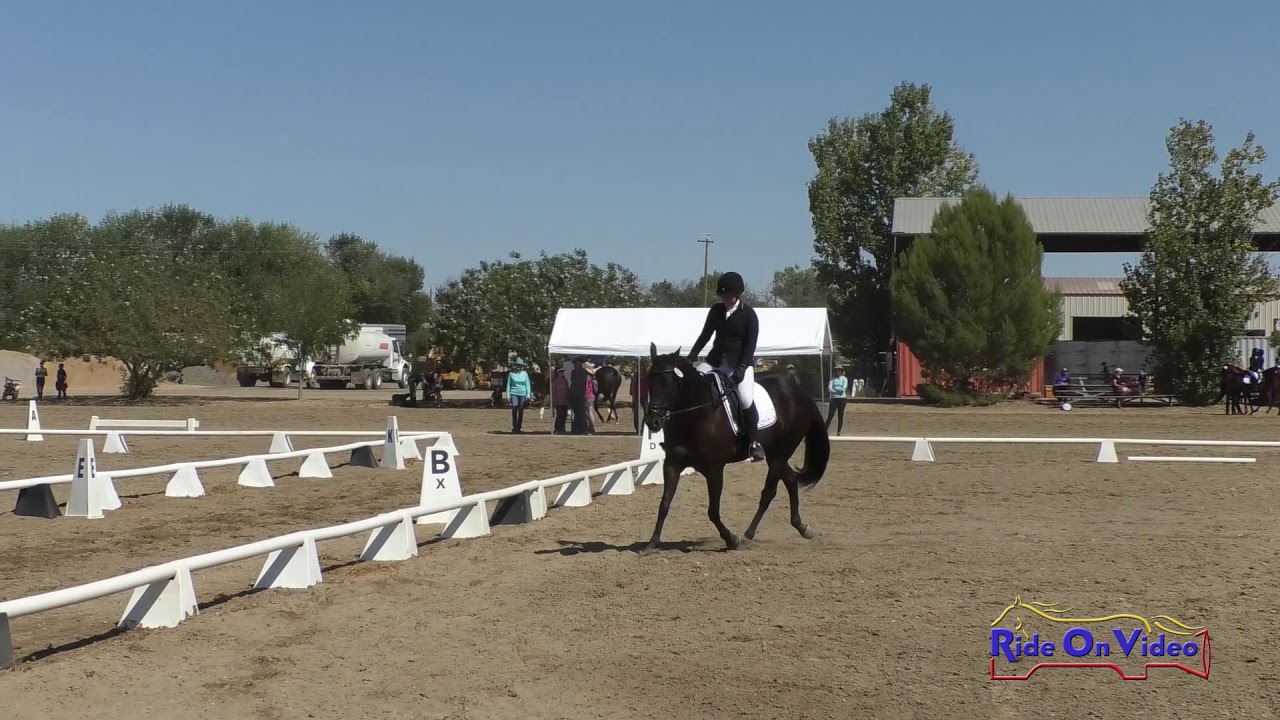 horseshoe bend 203D Amanda Blake on Kaweah Barry Moon JR Beginner Novice Dressage Twin Rivers Ranch Sept. 2019