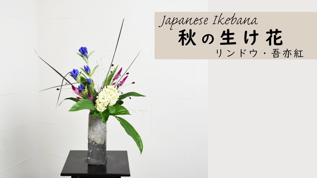 【秋の生け花 リンドウ・ワレモコウ】 初心者でもコツが分かればとっても簡単！ 生け方の基本からアレンジまでサクッと紹介。Japanese ikebana lesson for beginners