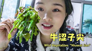 和妈妈一起去山上摘牛涩子尖回家炒肉！| Go with mom to the mountain to pick 