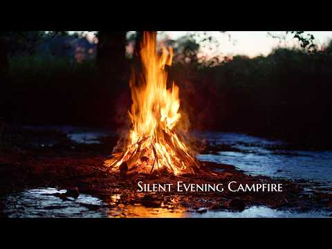 4K 📺 Silent Evening Campfire by the Stream 🔥 100% Natural Sounds (NO AI)