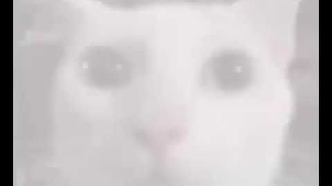 how a flashbang feels like