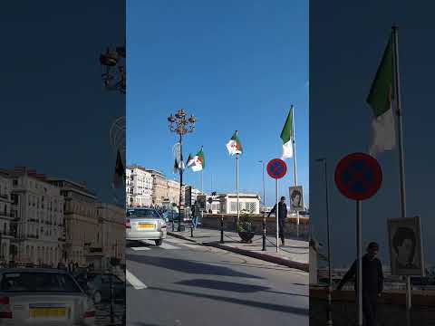 جولة في شوارع الجزائر العاصمة