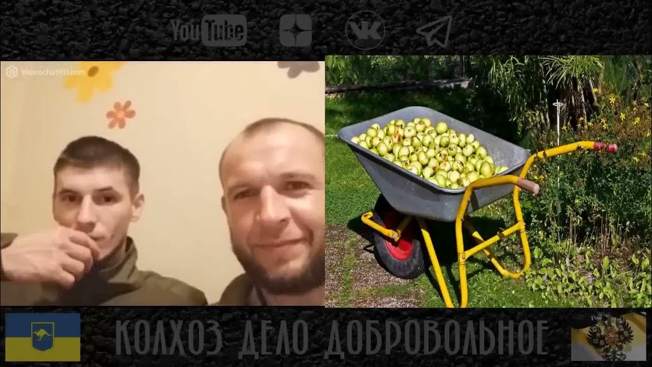 Колхоз дело добровольное последнее свежее видео 2025. Колхоз дело добровольное последнее свежее видео 2025