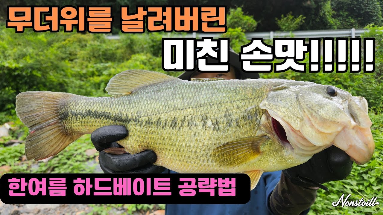 한여름 배스 덩어리 패턴 & 포인트 공개! 무더위 속 손맛은 이렇게!! 
