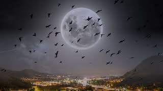 trending moon video।। trending moon bird png।।#sky #background #moon #viral ।। bird sky video#shorts