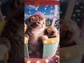 ミニチュア猫🐈遊園地に行く🎡🐾Miniature cat 🐈 Going to the amusement park #catasmr #cat #asmr