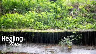 Refreshing Rain Sounds in a Vibrant Green Park | Sleep-Inducing White Noise to Clear Your Mind, ASMR