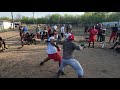 MIGHTY MOUSE "VS". RED WINE