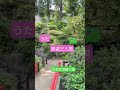 旅姿三人男 #島津亜矢