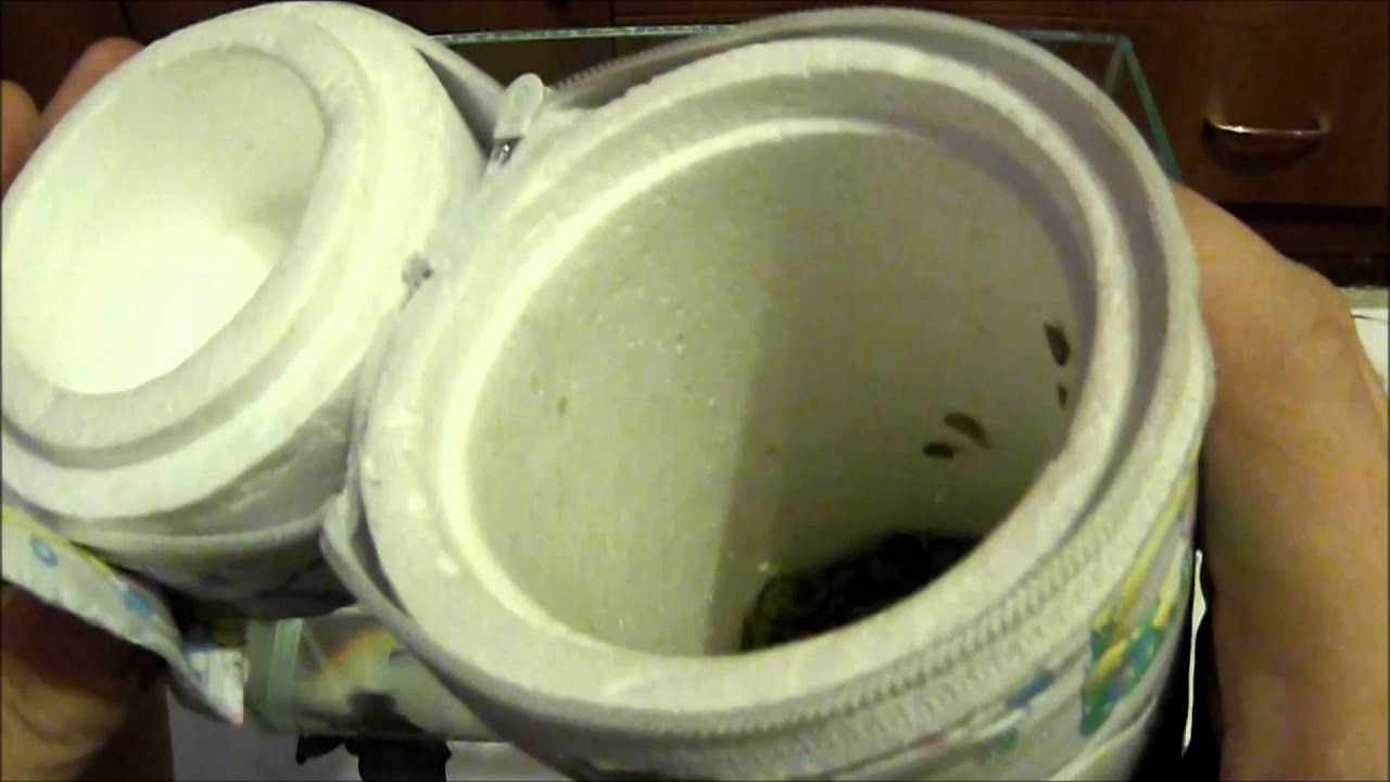 Спускник 2 - YouTube