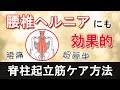 【腰椎ヘルニア】【腰痛】脊柱起立筋 超簡単セルフケア