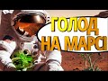 Фермери в космосі: як не померти з голоду на Марсі?