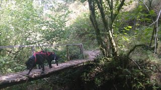 Ruta de los Puentes, en Ucieda, Ruente (Cantabria)