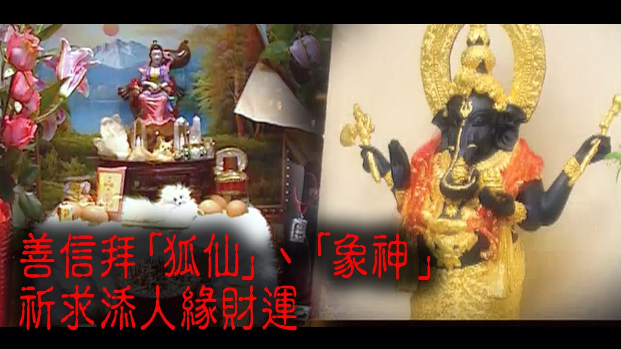 ※經典重温※2009年【《怪談》香港不思議手記 III】狐仙．象神︱善信拜「狐仙」、「象神」祈求添人緣財運