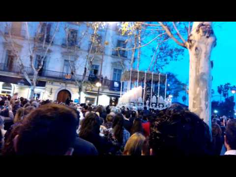 Pontificia, Real, Ilustre y Fervorosa Hermandad Sacramental y Cofradía de Nazarenos de Nuestro Padre Jesús de las Penas, María Santísima de la Estrella, Triunfo del Santo Lignum Crucis, San Francisco de Paula y Santas Justa y Rufina