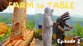 Trying some of the best honey in the world | FARM to TABLE Ep. 2