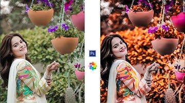 Toolwiz Colour Grading Editing Step by Step | Adobe Photoshop Express Editing Effect |