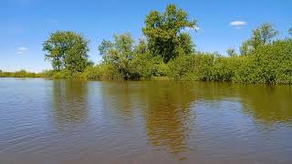 Большая вода на реке Чулым  12.06.2021г.
