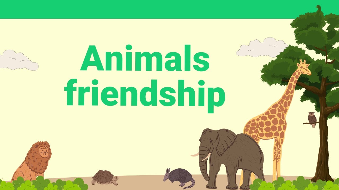 animals friendship #viralvideos #animation