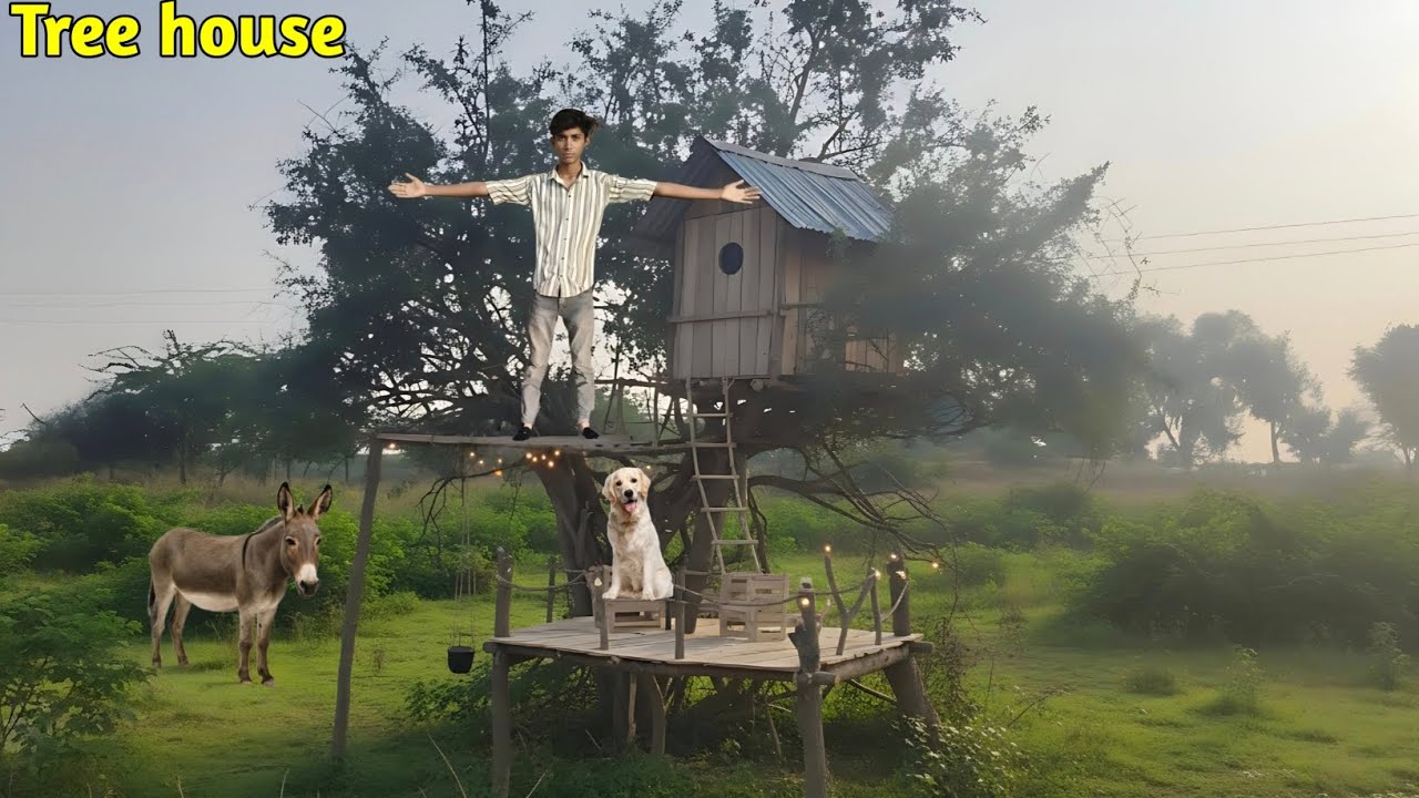 🌳 पेड़ों के बीच बना शानदार Tree House | Full Tree House Tour 🌿 बचपन का सपना पूरा!