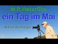 M.R. Naturfilm - ein Tag im Mai