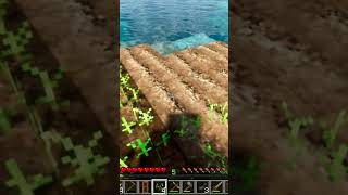 Minecraft Farming 🌾 | Wheat, Carrot, Potato Farm Tamil