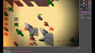 TibiaFun.ORG #WAR! - AlKaida VS OnlyWe