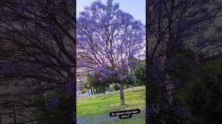 25 Mayıs 2025 Resimi