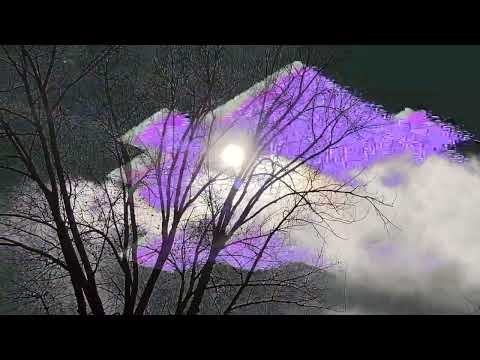 Miss You Always Drambo IDM W Zeeon Synth 