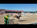 EQWOnet Pony Grand Prix Lassee 2017 Jump off