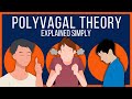 Polyvagal theory explained simply