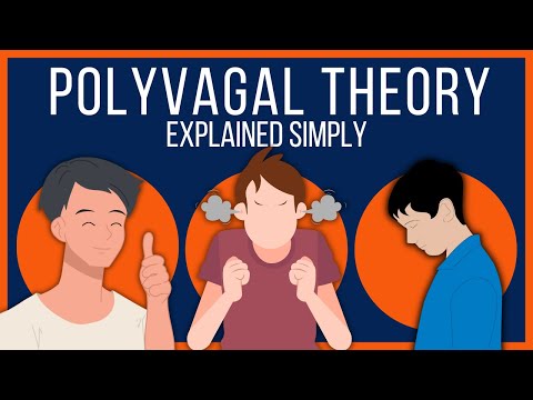 Polyvagal Theory Explained Simply