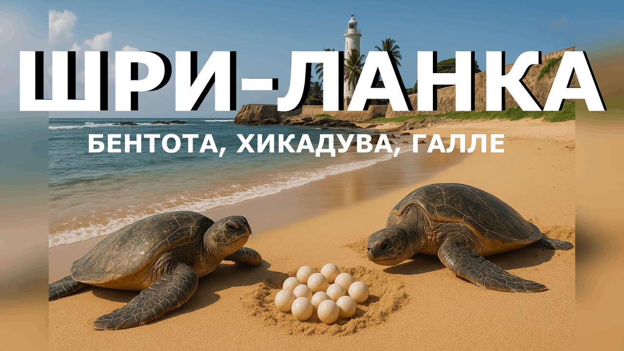 Шри-Ланка, часть 1. Своим ходом. Лучше Гоа? Слишком милые черепашки и старинный форт