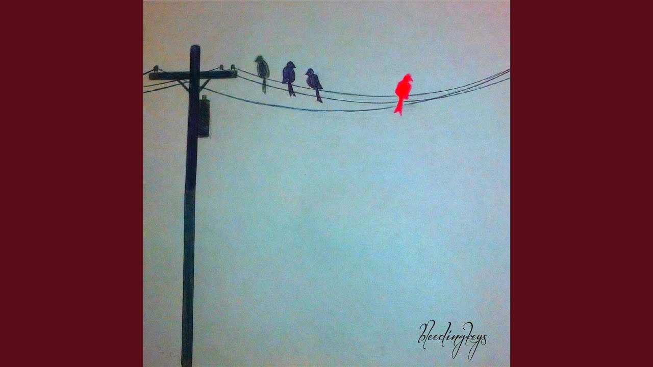 Loves Like Holding Guns