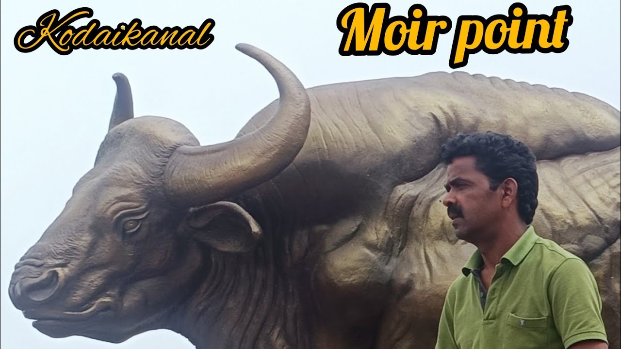 #kodaikanalsightseeing