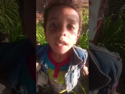 شاطر في مهنته