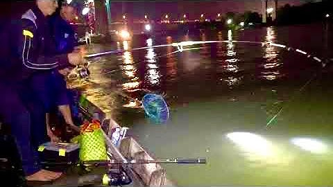 cầu mỹ thuận 2: điểm câu lý tưởng mồi vừa chạm đáy Basa 5.7kg bị lôi lên bờ  ||Trí Nguyễn 64Vlog #17