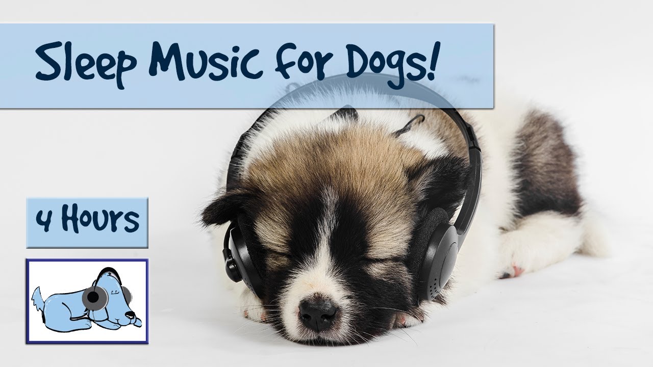 music to put puppies to sleep