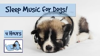 4 Hour Playlist - Sleep Music for Dogs! Watch your Dog Drift Off into a Peaceful Sleep